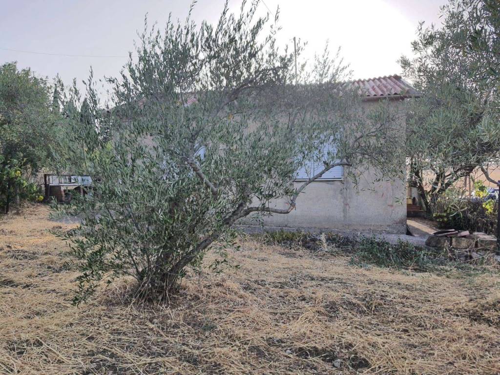 Villa a Caltanissetta in C/da Xirbi - Foto 2