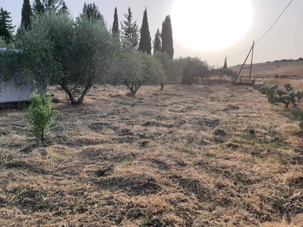 Villa a Caltanissetta in C/da Xirbi - Foto 5