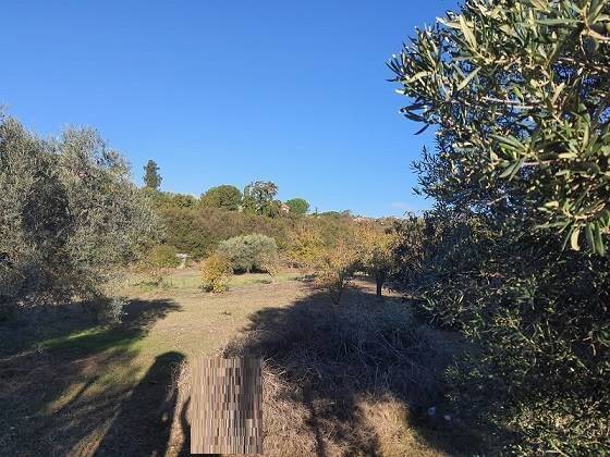 Villa a Caltanissetta in C/da Niscima - Foto 2