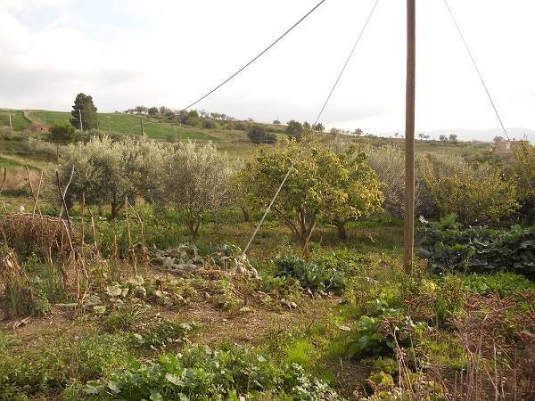 Casa indipendente a Blufi in C/da Nero - Foto 5