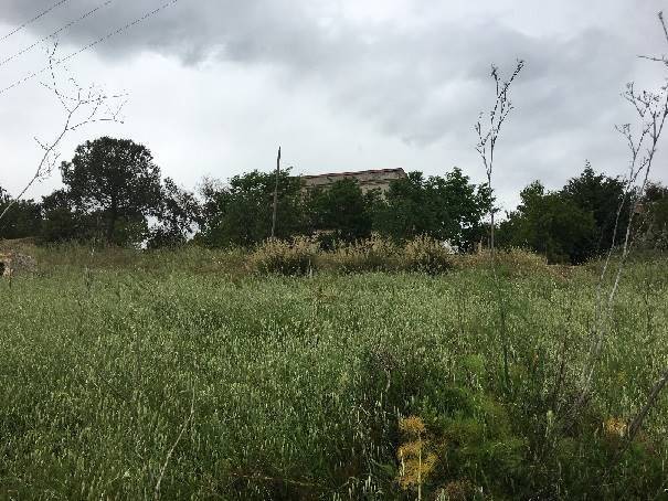 Rustico / casale a Santa caterina villarmosa in contrada Piraino - Foto 2