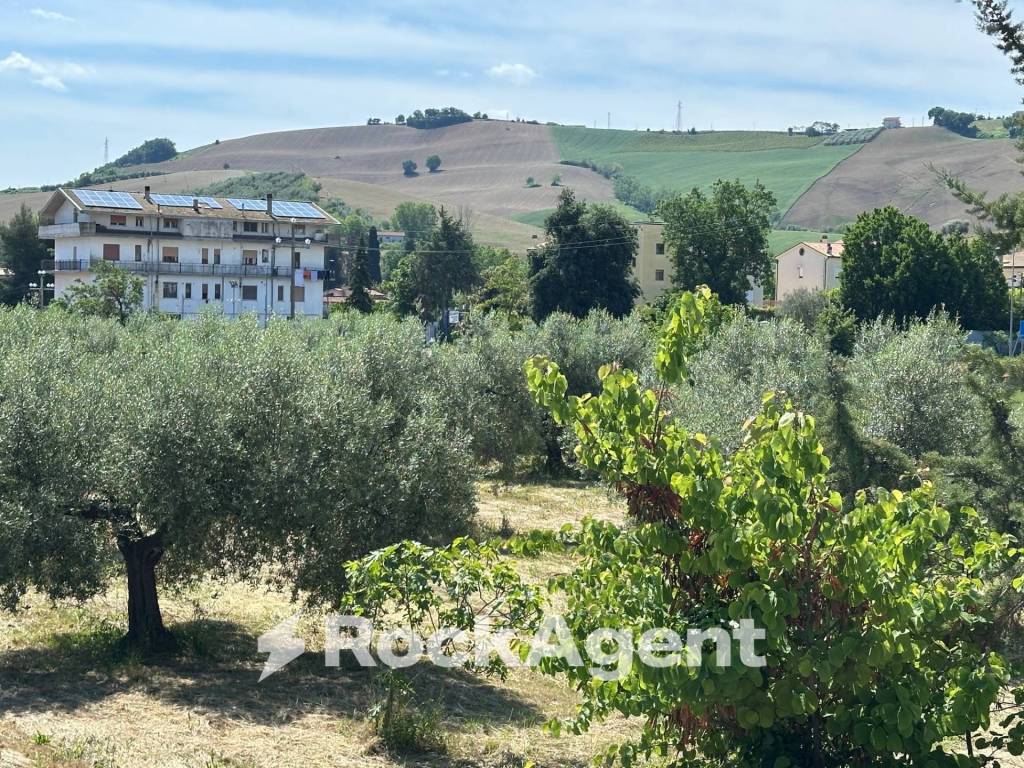 Terreno a Castiglione messer raimondo in Via Delle Masserie - Foto 3