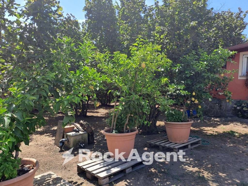 Terreno a Vignanello in Strada mecocci snc - Foto 3