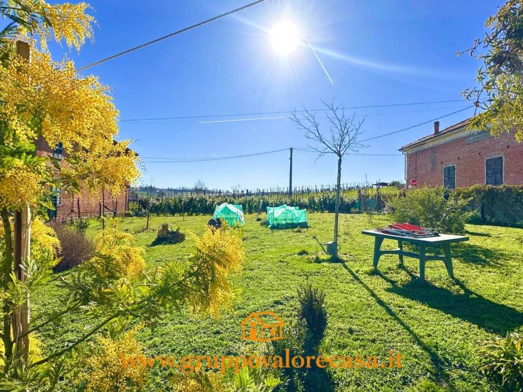 Casa indipendente a Cassine - Foto 2