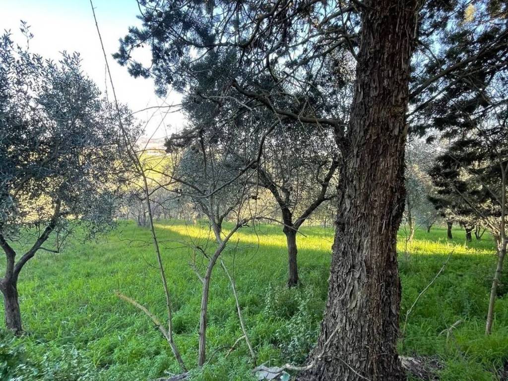 Villa a Castelfiorentino - Foto 2