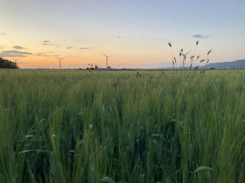Terreno a San severo in Strada Provinciale La Marchesa - Foto 2
