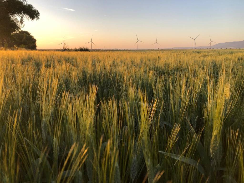 Terreno a San severo in Strada Provinciale La Marchesa - Foto 3