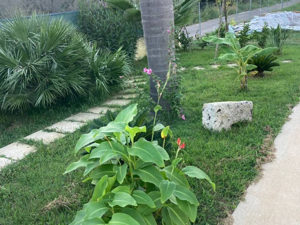 Villa a Supersano in S.P. Supersano/Scorrano - Contrada Montinati - Foto 3