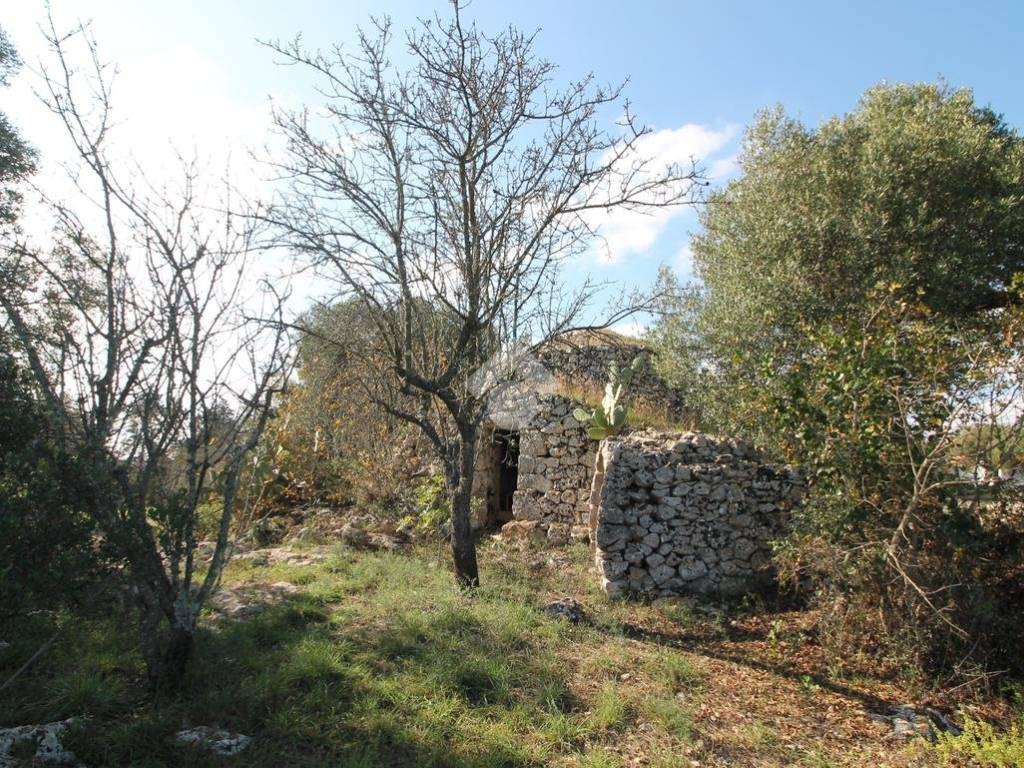Rustico / casale a Ostuni - Foto 2