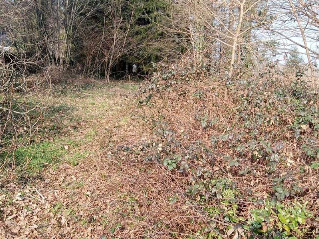 Terreno a Viggiù - Foto 2