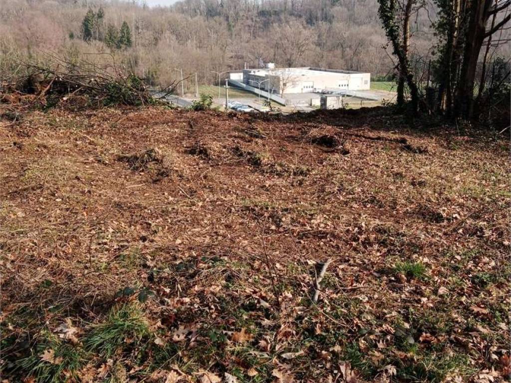 Terreno a Viggiù - Foto 3