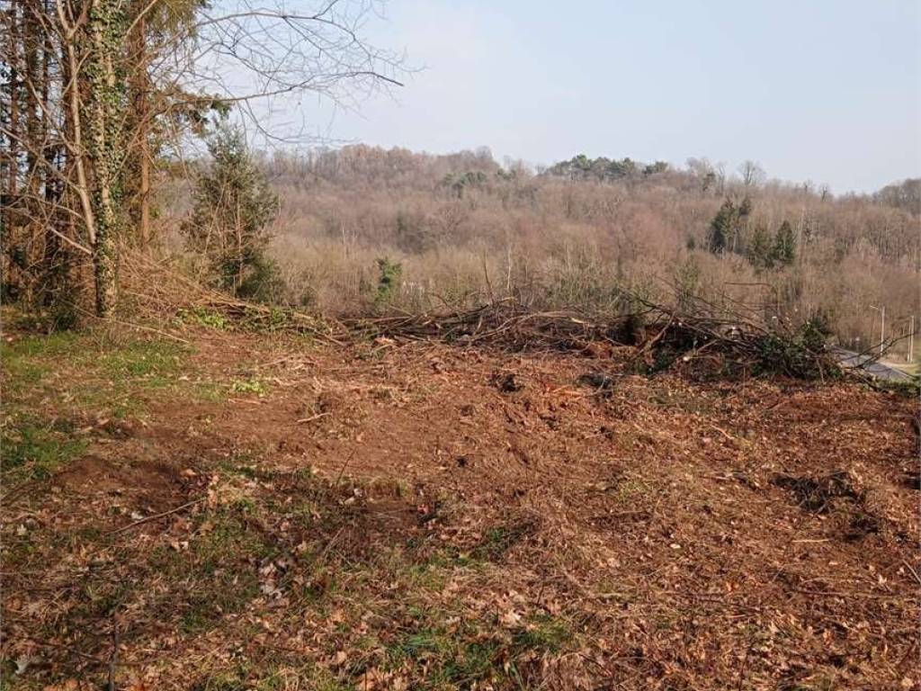 Terreno a Viggiù - Foto 4