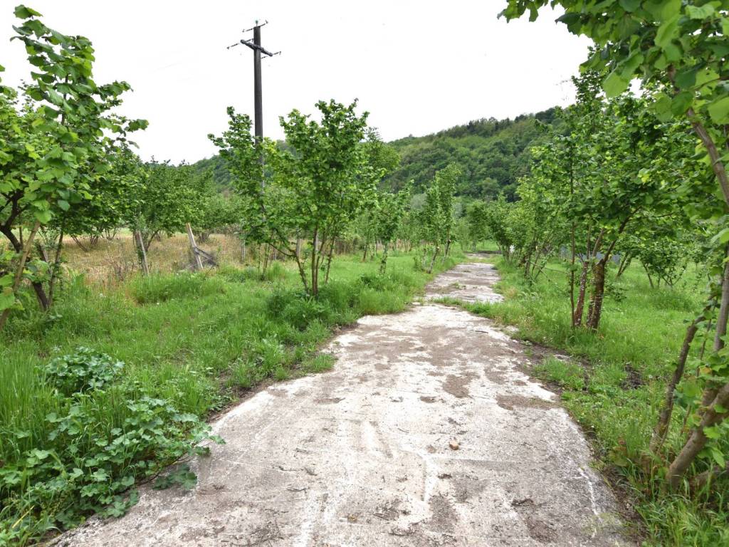 Terreno a Tufo in Strada Statale della Valle del Sabato - Foto 5