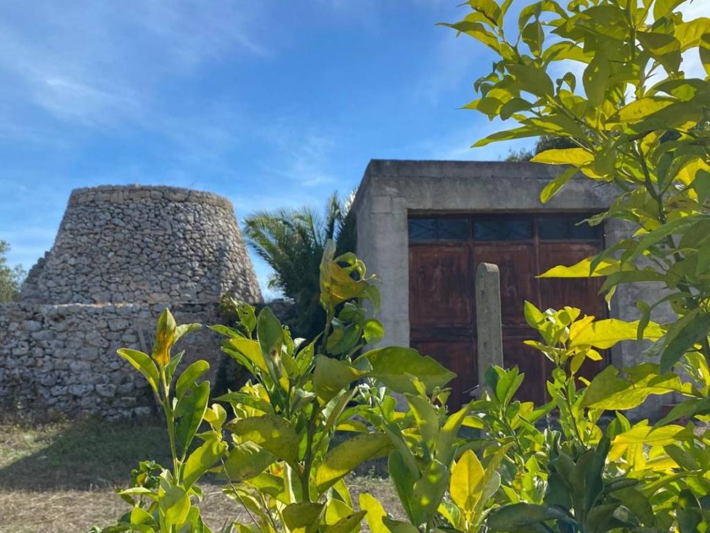 Terreno a Salve in SP351 - Foto 3