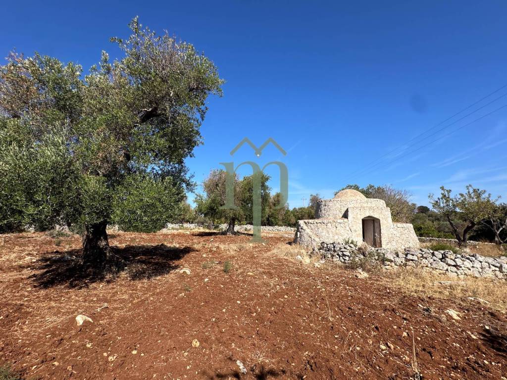Rustico / casale a Carovigno - Foto 2