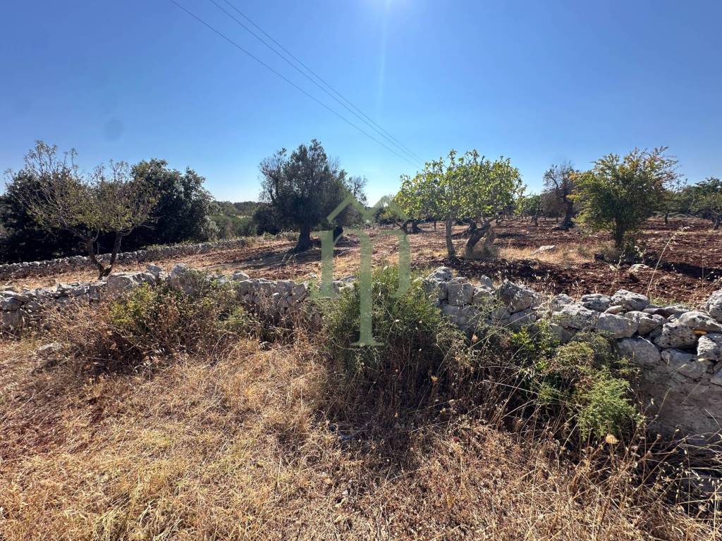Rustico / casale a Carovigno - Foto 3
