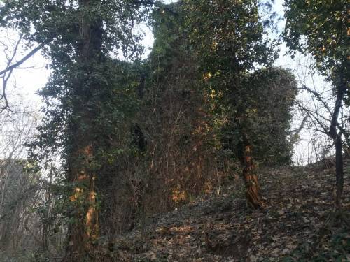 Rustico / casale a Valenza in Strada Citerna, 41 - Foto 4