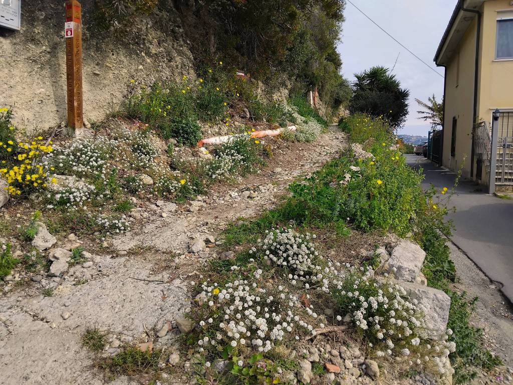 Terreno a Ventimiglia in Via Maule - Foto 4