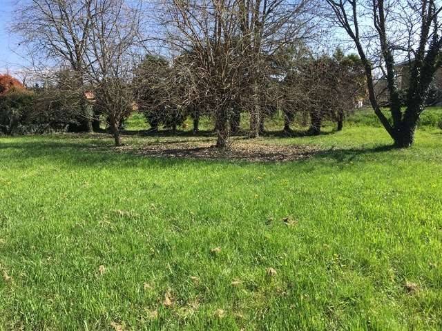 Terreno a Sagrado in Via Puccini - Foto 2