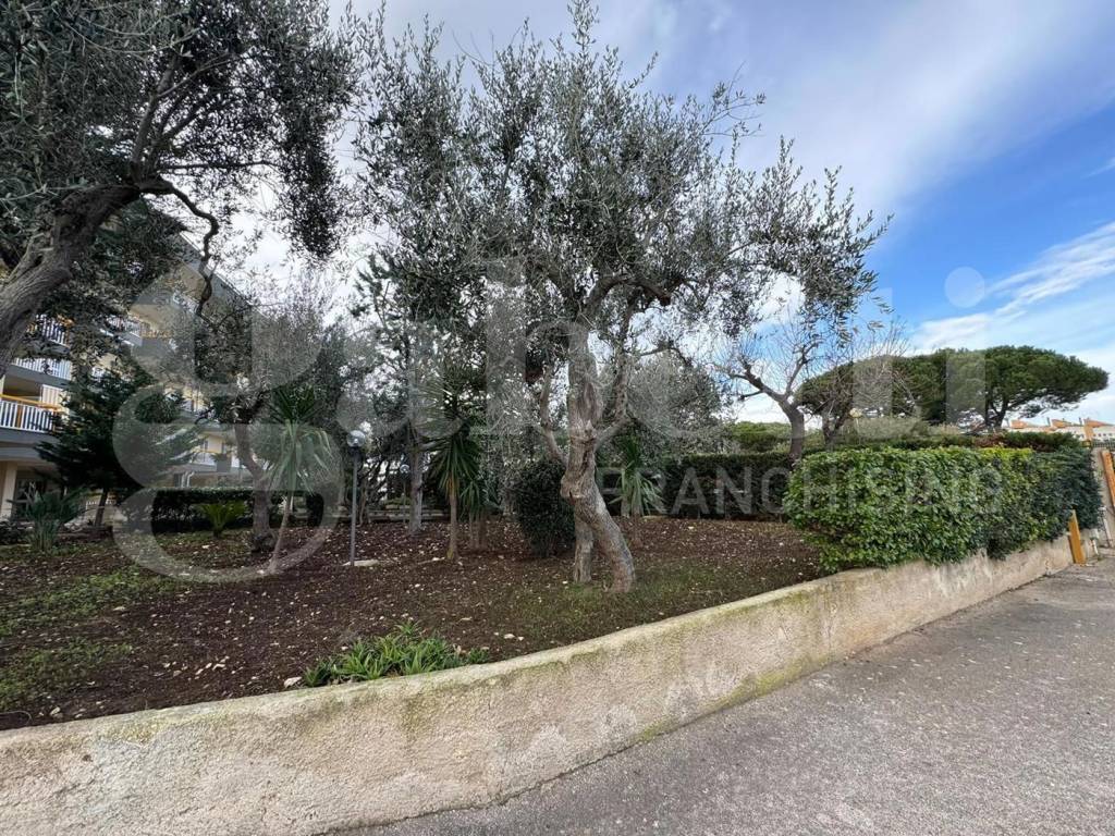Appartamento a Bari in Via Catino - Foto 4