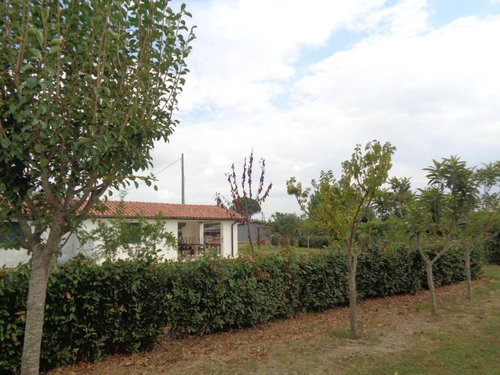 Terreno a Pisa - Foto 3