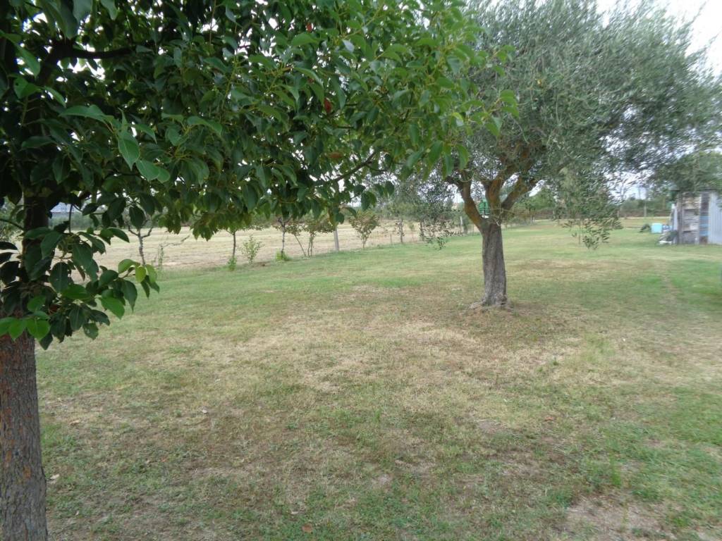 Terreno a Pisa - Foto 5