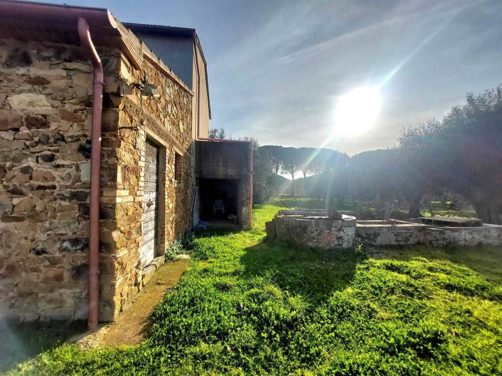 Rustico / casale a Scarlino - Foto 2