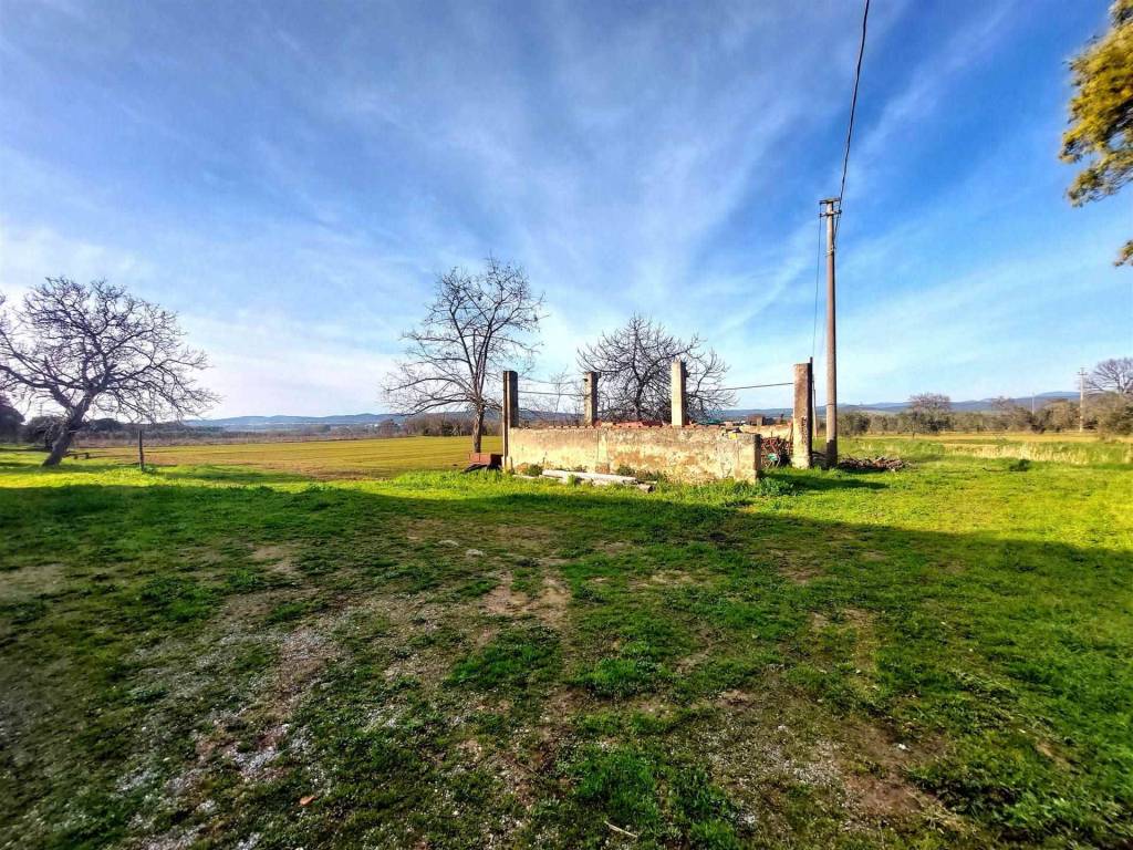 Rustico / casale a Scarlino - Foto 4