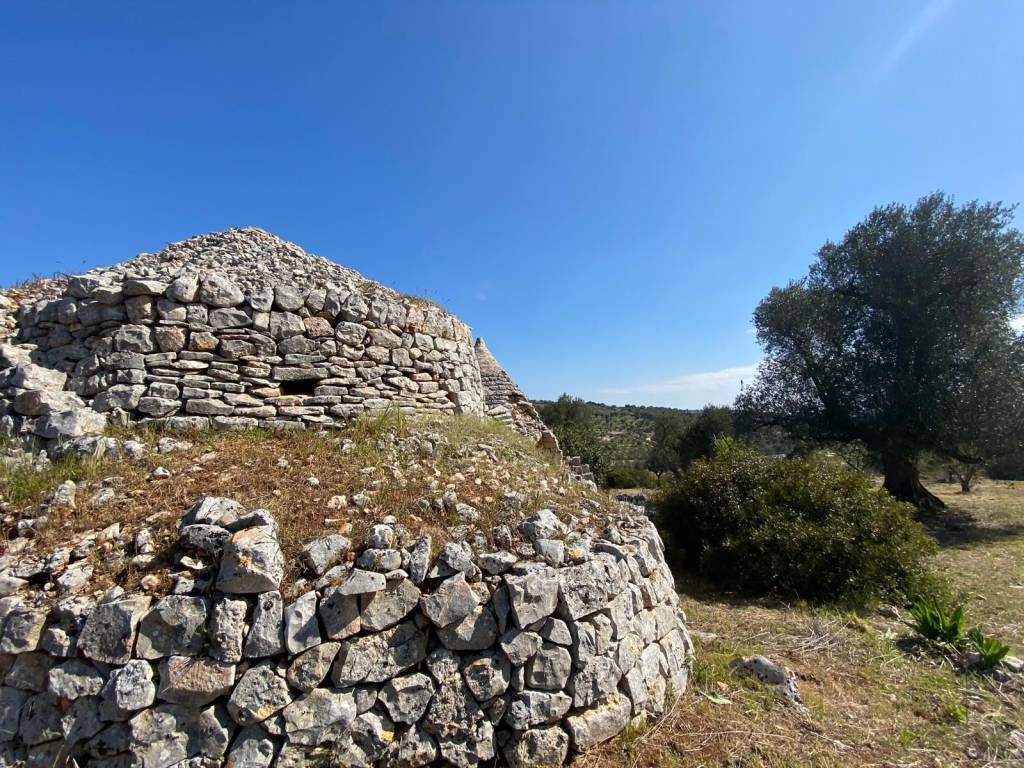 Rustico / casale a Ostuni in Contrada Badessa - Foto 2