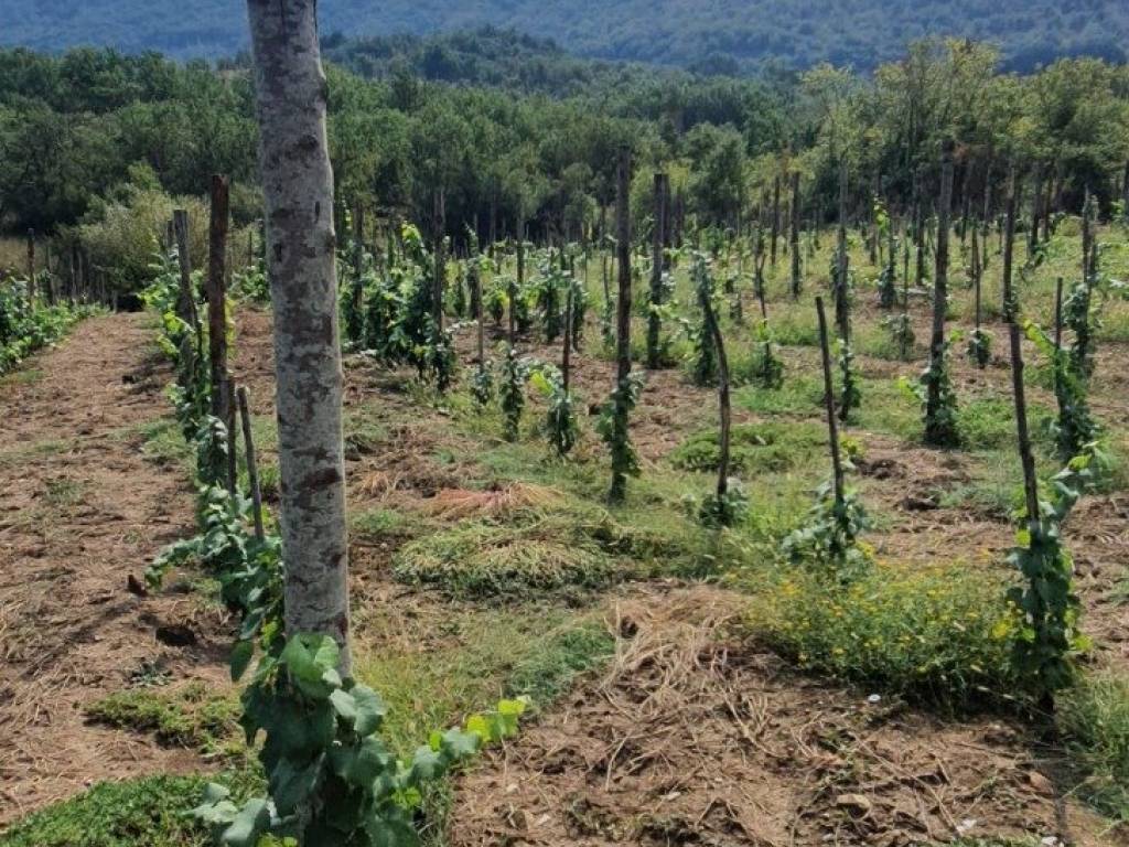 Terreno a Sant'agata de' goti in Piazza Trieste - Foto 2