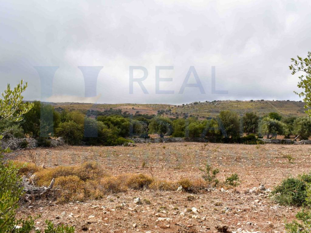 Rustico / casale a Noto in Via Tommaso Fazello, 228 - Foto 2