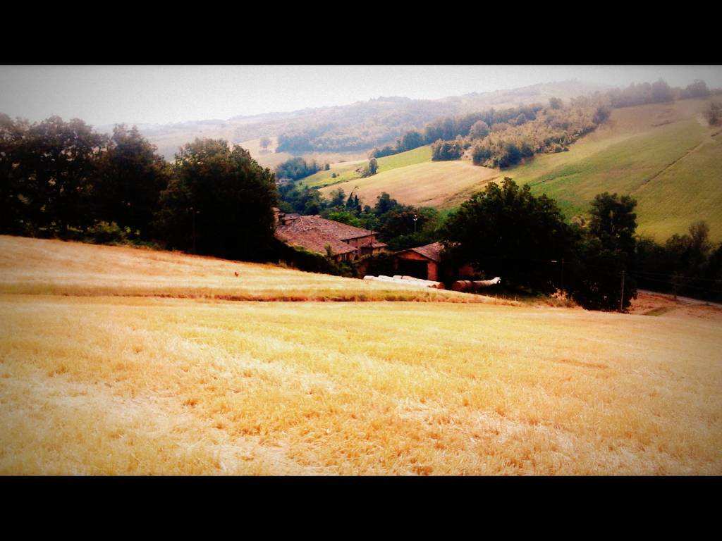 Rustico / casale a Castelvetro di modena in Via Guerro di Qua - Foto 3