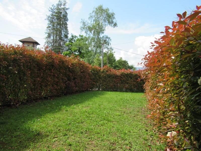 Appartamento a Bee - Foto 2