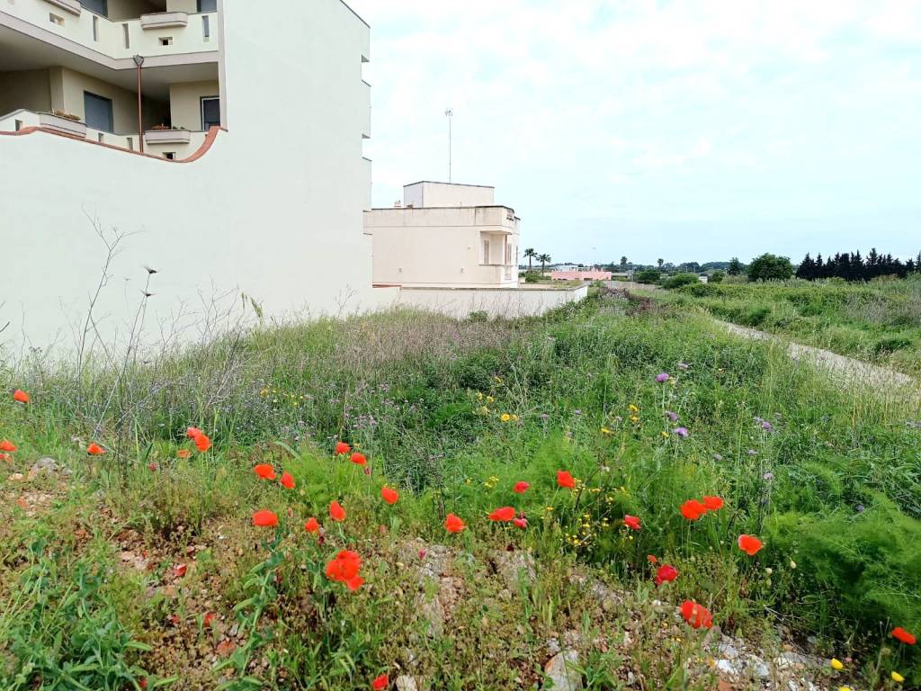 Terreno a Tricase in Via Amedeo Avogadro - Foto 5