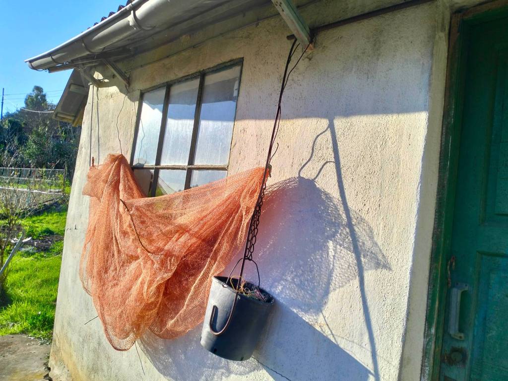 Terreno a Sanremo in Strada Suseneo Superiore - Foto 5