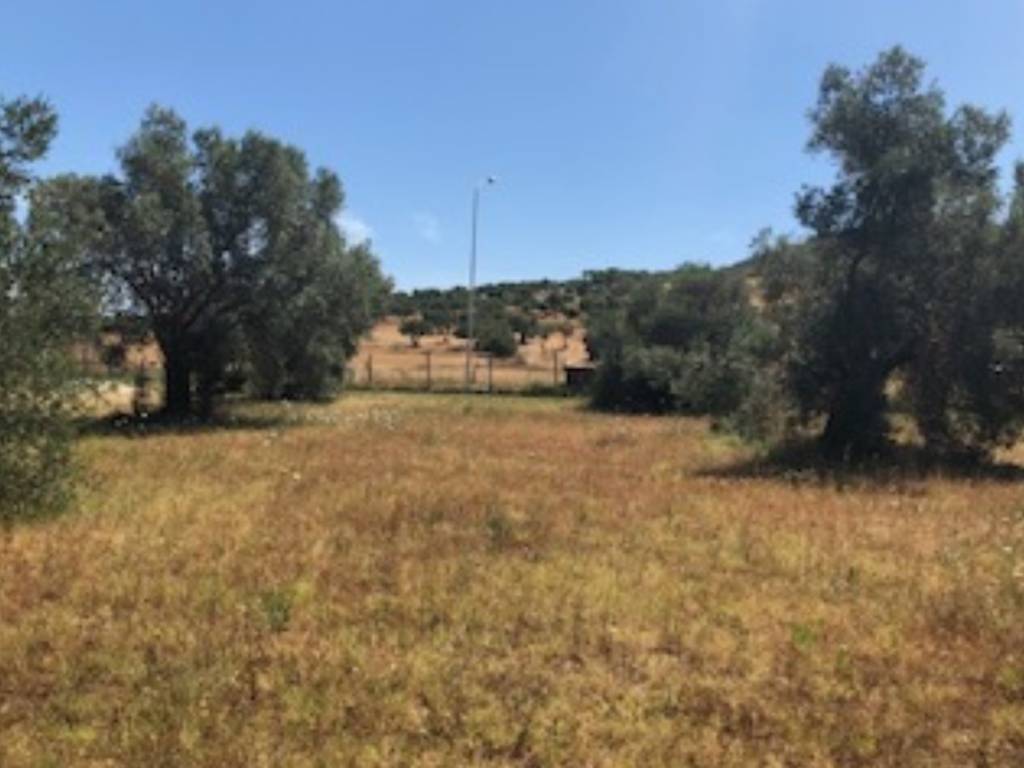 Terreno a Grosseto in Via Batignanese - Foto 3