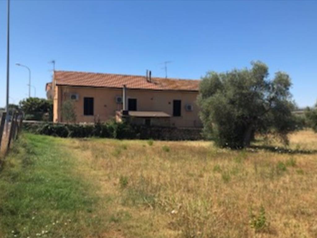 Terreno a Grosseto in Via Batignanese - Foto 4