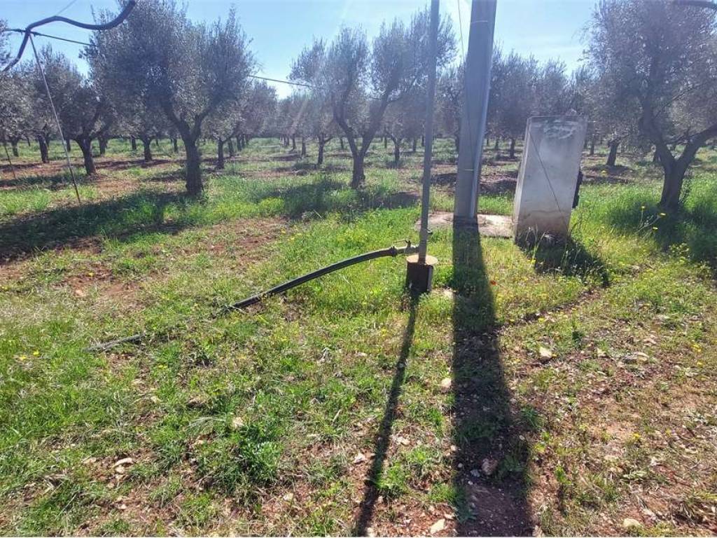 Terreno a San vito dei normanni - Foto 3