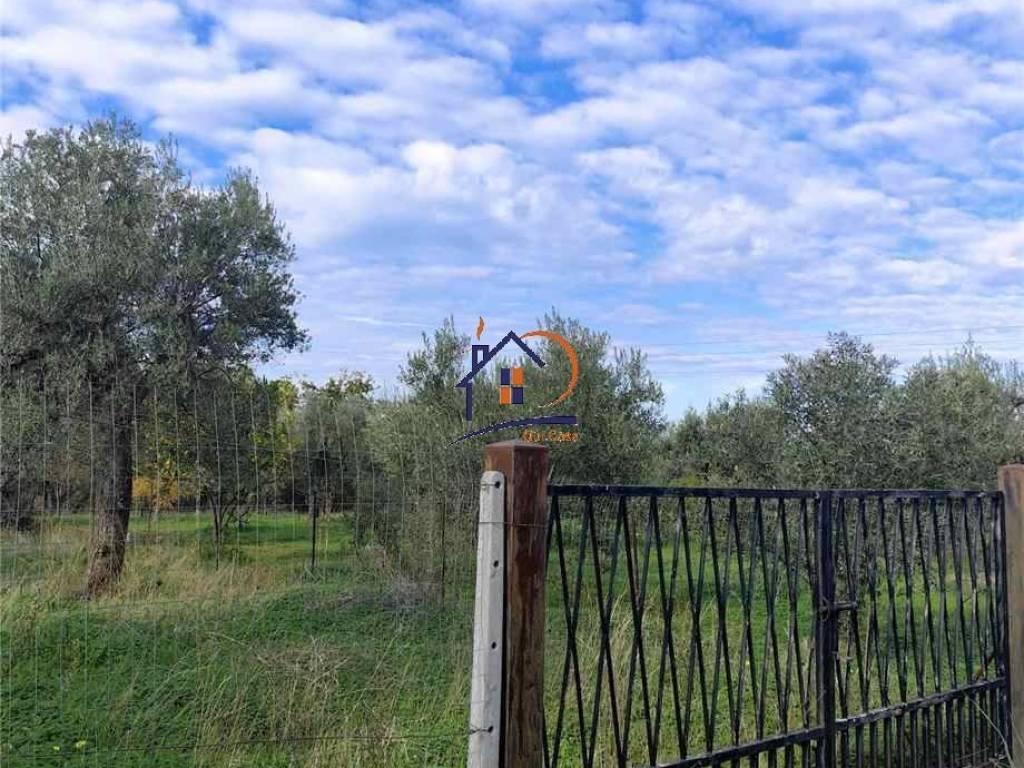 Terreno a Corigliano-rossano in Contrada Trapesimi - Foto 2