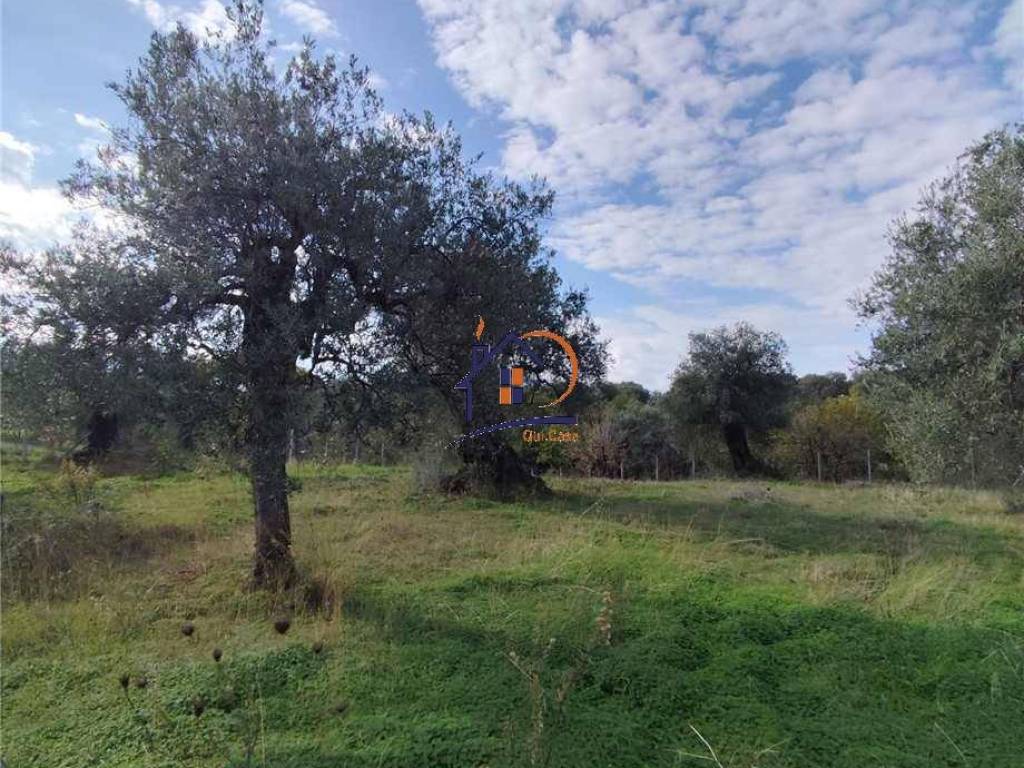 Terreno a Corigliano-rossano in Contrada Trapesimi - Foto 3