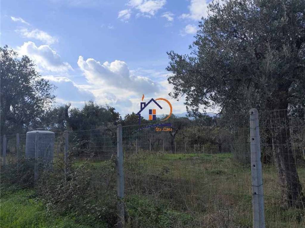 Terreno a Corigliano-rossano in Contrada Trapesimi - Foto 4