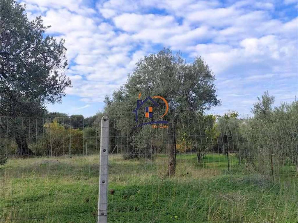 Terreno a Corigliano-rossano in Contrada Trapesimi - Foto 5