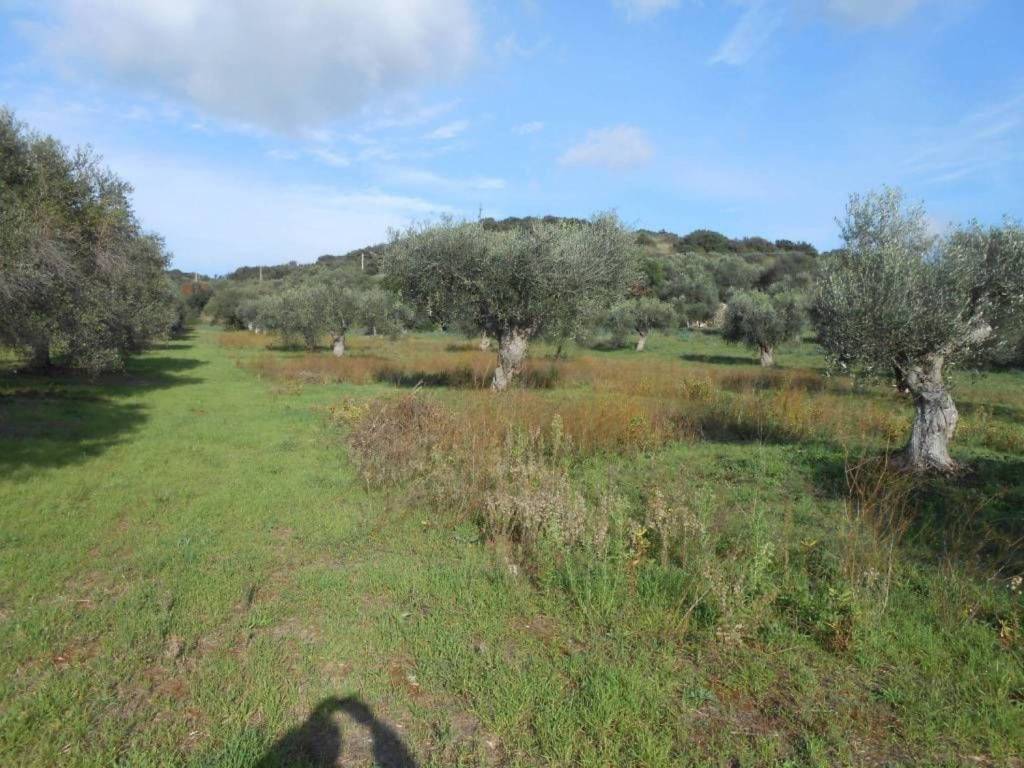 Terreno a Capalbio in Strada Provinciale Pedemontana - Foto 3