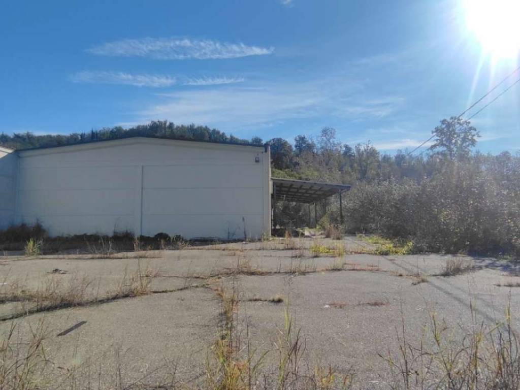 Immobile a Scurzolengo in via Sp Vallemolla snc - Foto 5