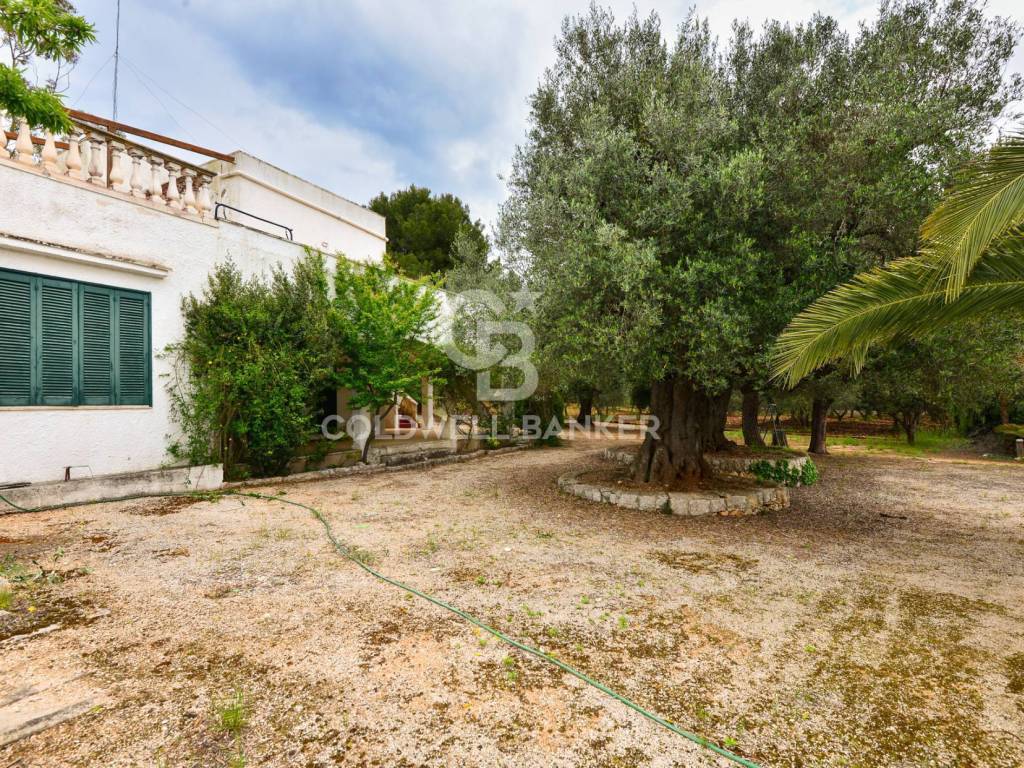 Villa a Ostuni in c.da Fumarola - Foto 3