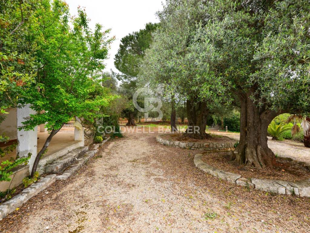 Villa a Ostuni in c.da Fumarola - Foto 4