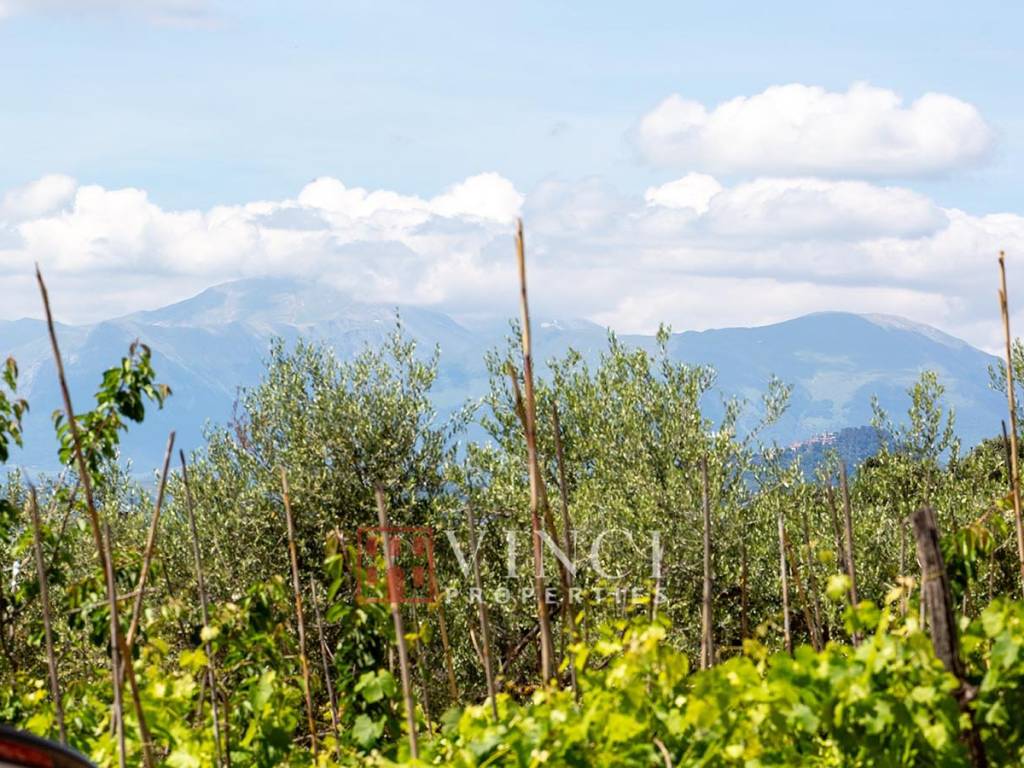 Rustico / casale a Montegiorgio - Foto 2