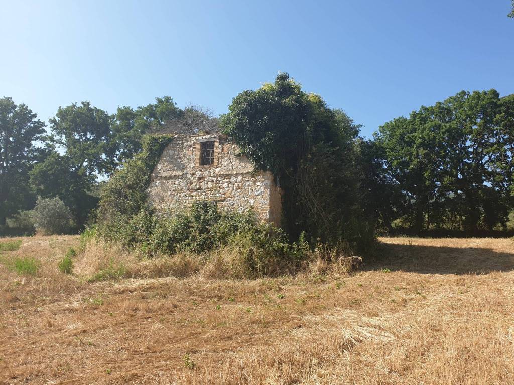 Rustico / casale a Lugnano in teverina in strada di vagli - Foto 3