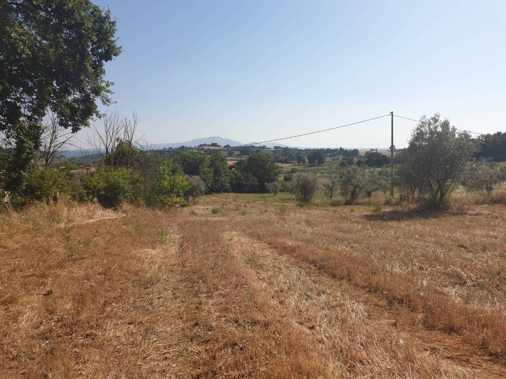 Rustico / casale a Lugnano in teverina in strada di vagli - Foto 4
