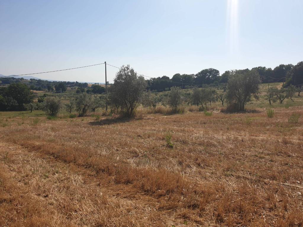 Rustico / casale a Lugnano in teverina in strada di vagli - Foto 5
